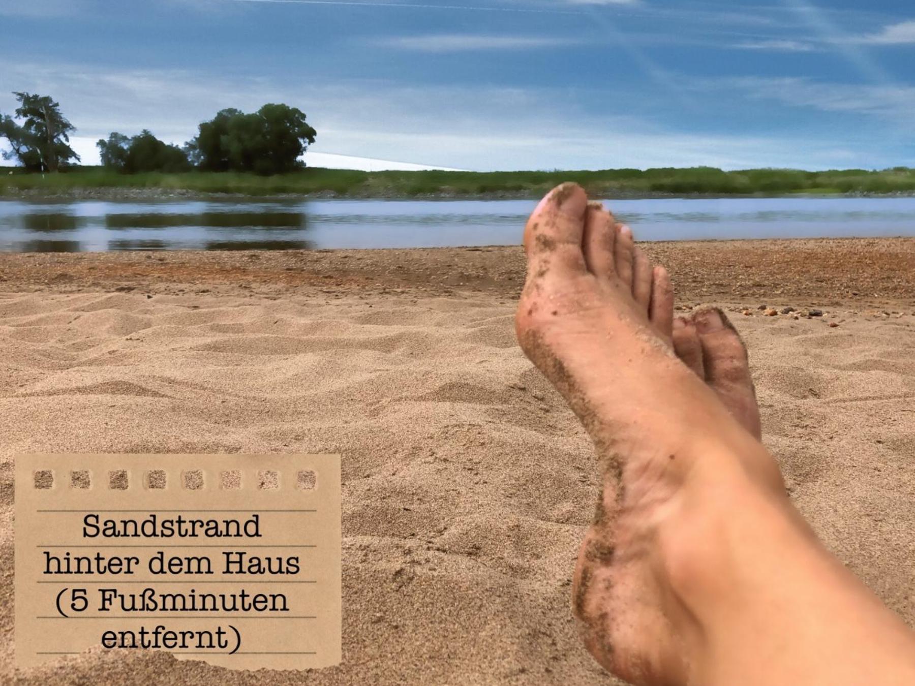 Alte Schule Wittenberg, 3 Ferienwohnungen Fuer Bis Zu 12 Personen, An Der Elbe, Mit Garten Exterior foto