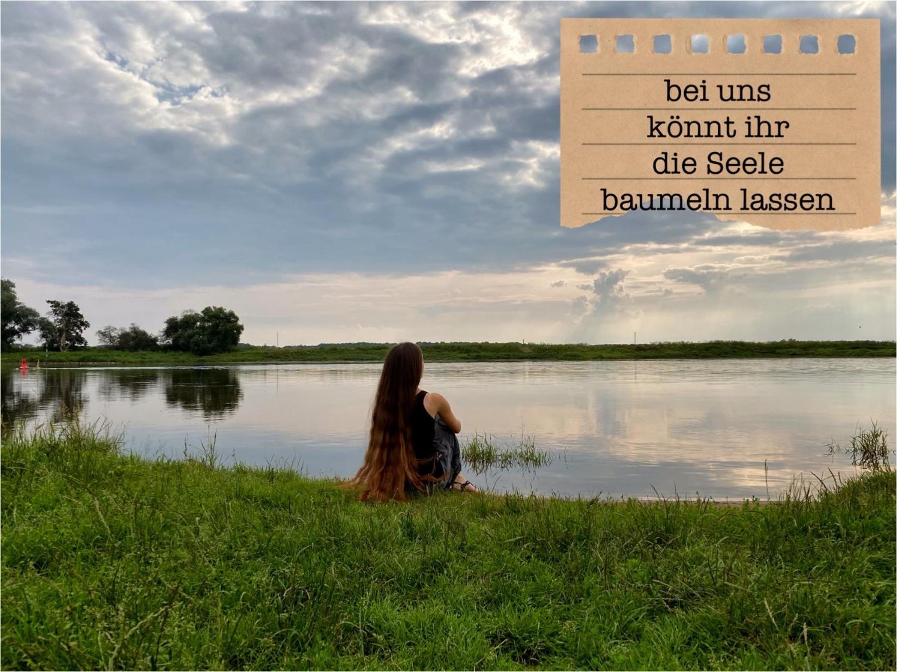Alte Schule Wittenberg, 3 Ferienwohnungen Fuer Bis Zu 12 Personen, An Der Elbe, Mit Garten Exterior foto