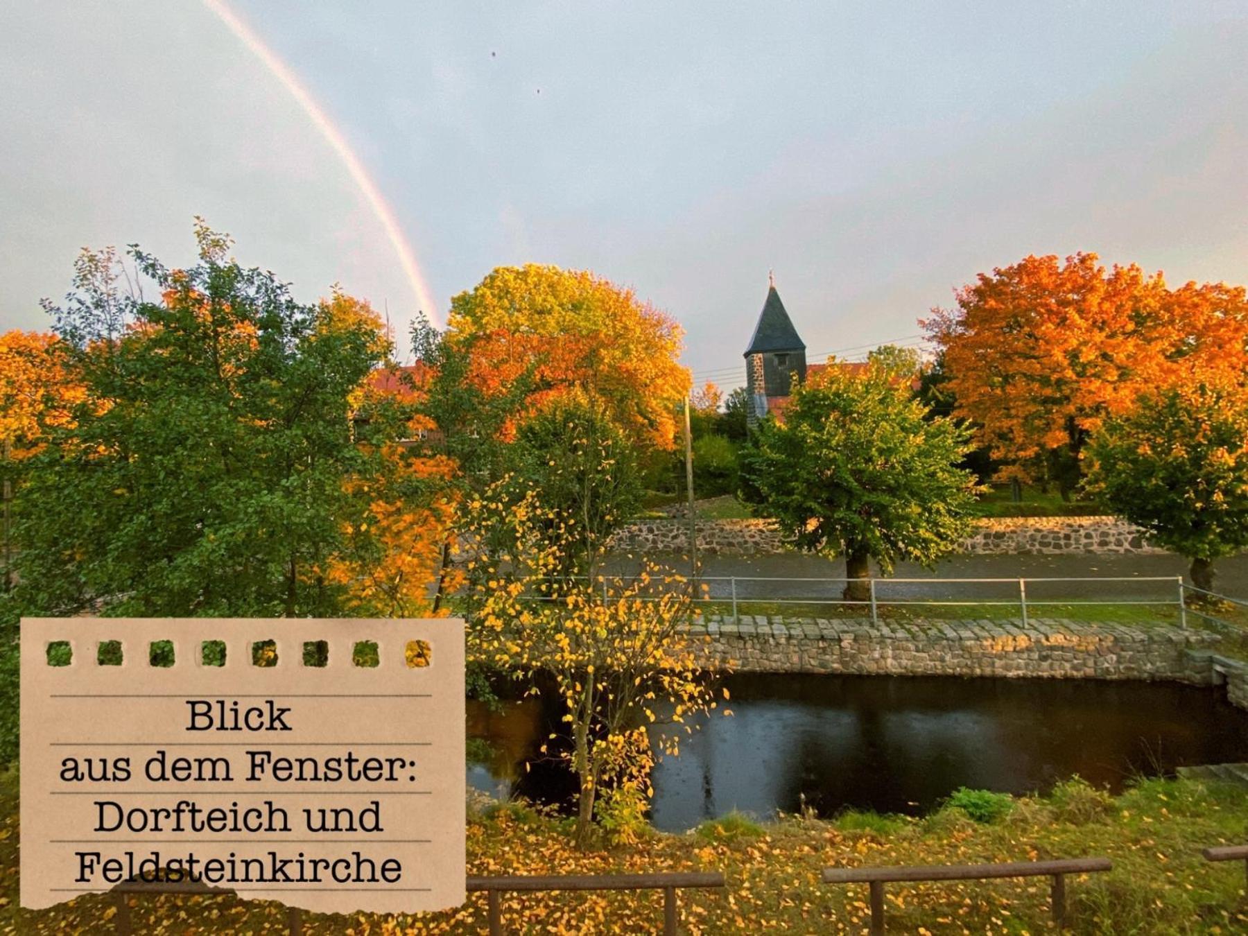 Alte Schule Wittenberg, 3 Ferienwohnungen Fuer Bis Zu 12 Personen, An Der Elbe, Mit Garten Exterior foto