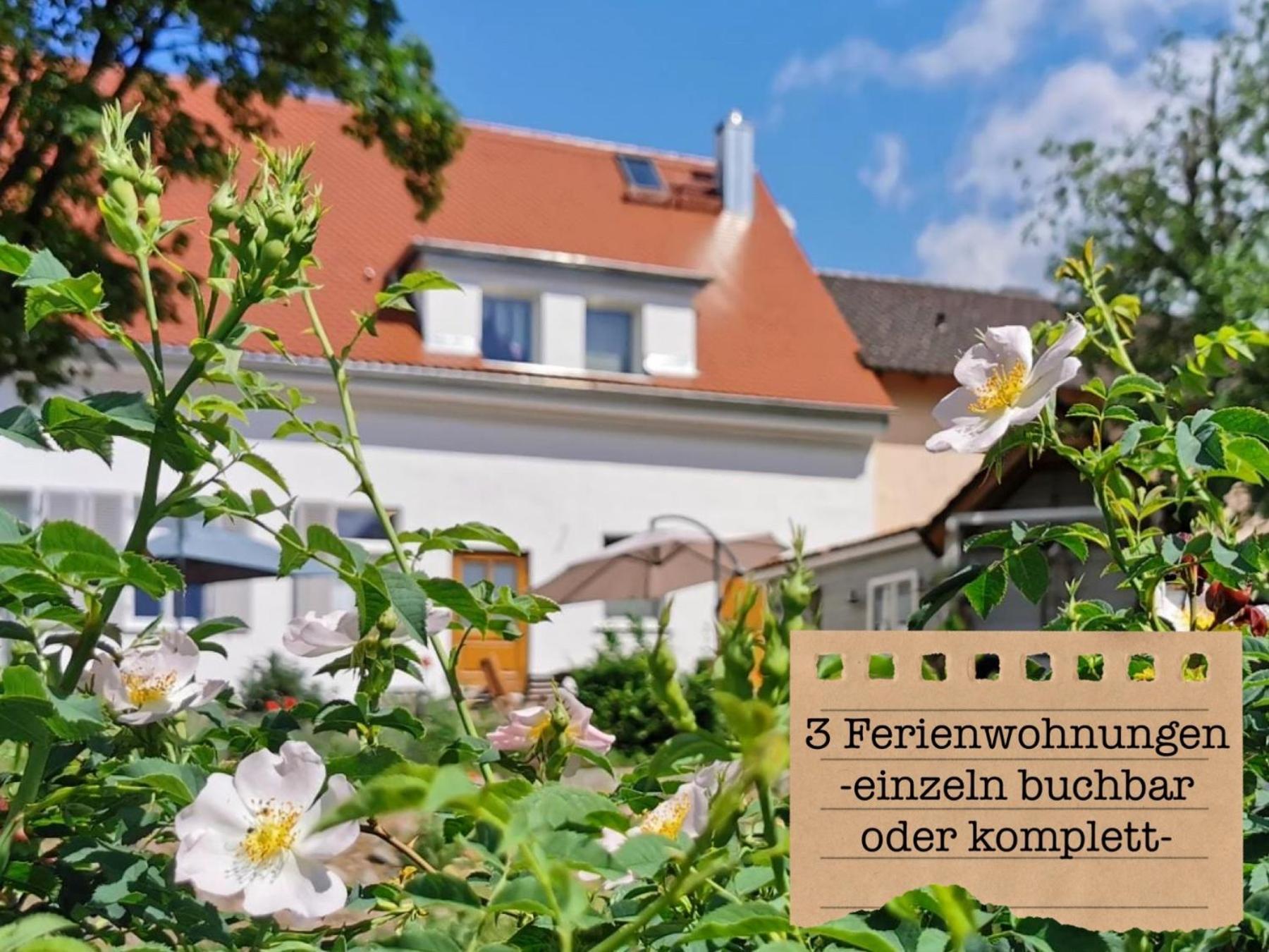Alte Schule Wittenberg, 3 Ferienwohnungen Fuer Bis Zu 12 Personen, An Der Elbe, Mit Garten Exterior foto