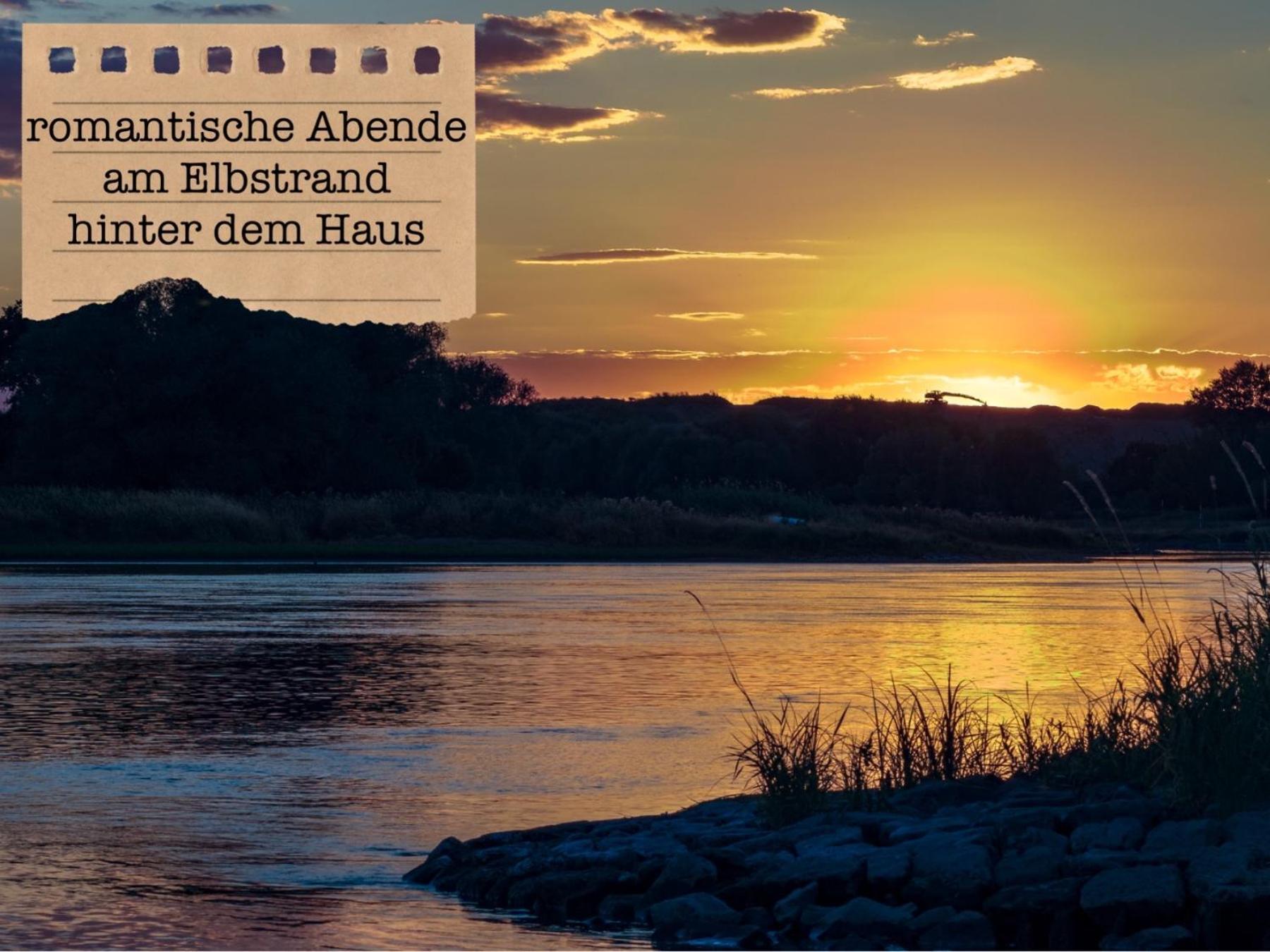 Alte Schule Wittenberg, 3 Ferienwohnungen Fuer Bis Zu 12 Personen, An Der Elbe, Mit Garten Exterior foto