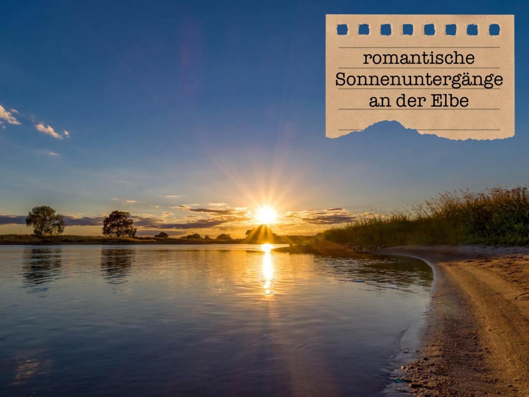 Alte Schule Wittenberg, 3 Ferienwohnungen Fuer Bis Zu 12 Personen, An Der Elbe, Mit Garten Exterior foto
