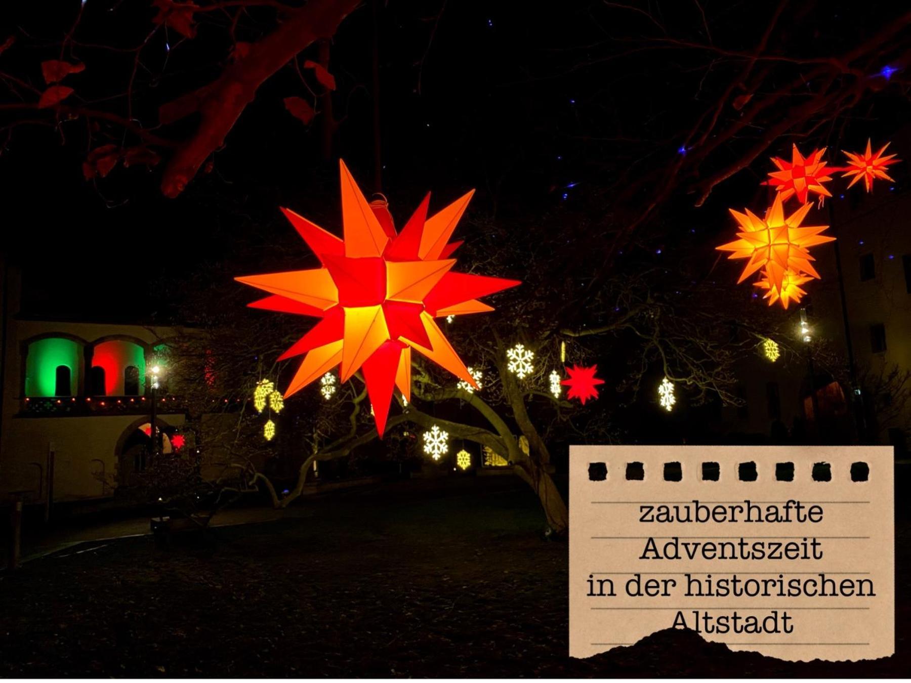 Alte Schule Wittenberg, 3 Ferienwohnungen Fuer Bis Zu 12 Personen, An Der Elbe, Mit Garten Exterior foto